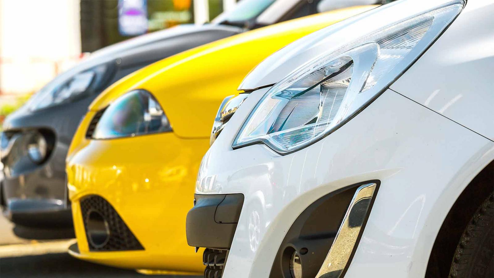 [[{photo.alt_text}]]